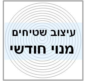 עיצוב שטיחים מנוי חודשי