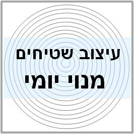 עיצוב שטיחים מנוי יומי